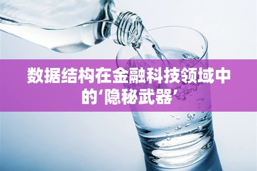 数据结构在金融科技领域中的‘隐秘武器’