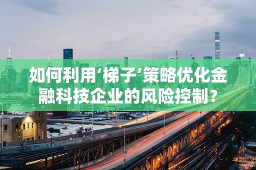 如何利用‘梯子’策略优化金融科技企业的风险控制？