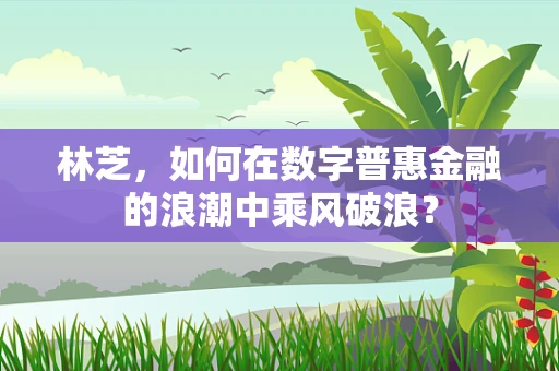 林芝，如何在数字普惠金融的浪潮中乘风破浪？