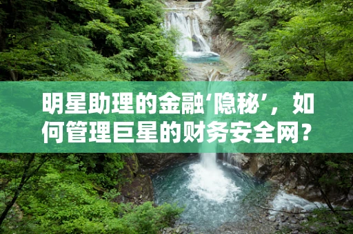 明星助理的金融‘隐秘’，如何管理巨星的财务安全网？