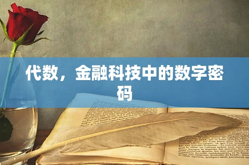 代数，金融科技中的数字密码