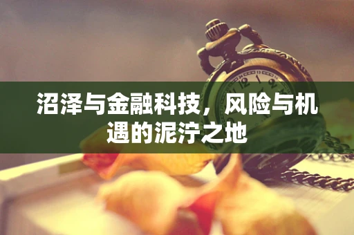 沼泽与金融科技，风险与机遇的泥泞之地