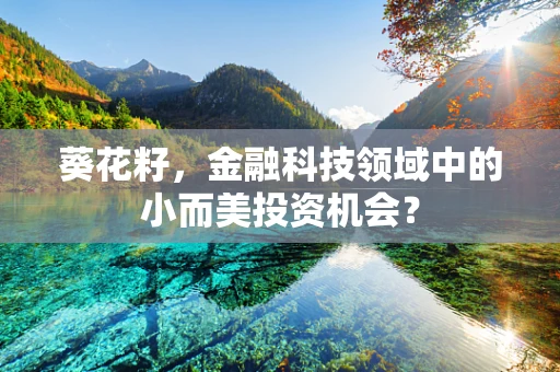 葵花籽，金融科技领域中的小而美投资机会？