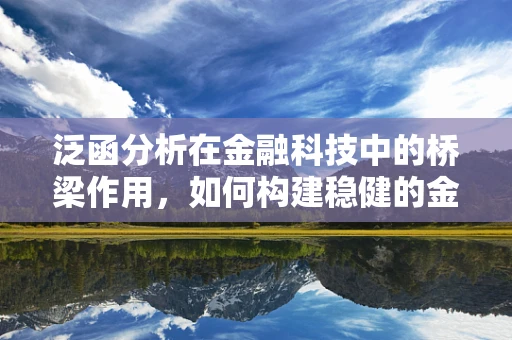 泛函分析在金融科技中的桥梁作用，如何构建稳健的金融模型？