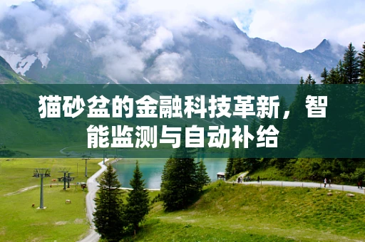 猫砂盆的金融科技革新，智能监测与自动补给