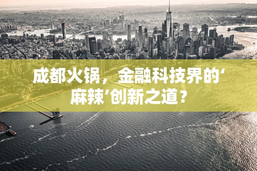 成都火锅，金融科技界的‘麻辣’创新之道？