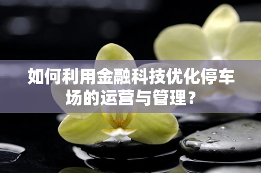 如何利用金融科技优化停车场的运营与管理？