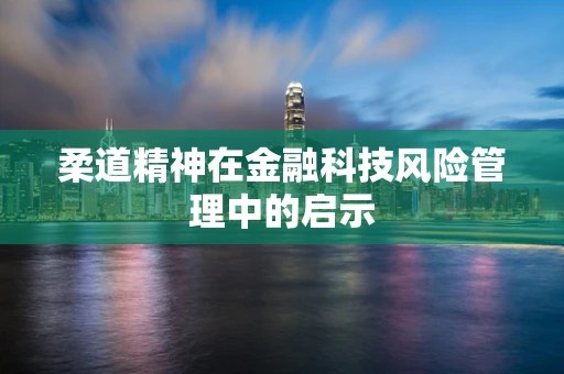 柔道精神在金融科技风险管理中的启示