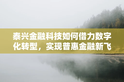 泰兴金融科技如何借力数字化转型，实现普惠金融新飞跃？
