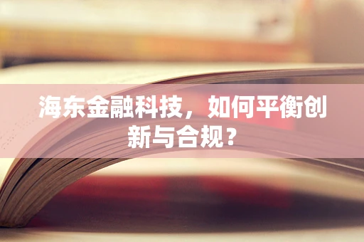 海东金融科技，如何平衡创新与合规？