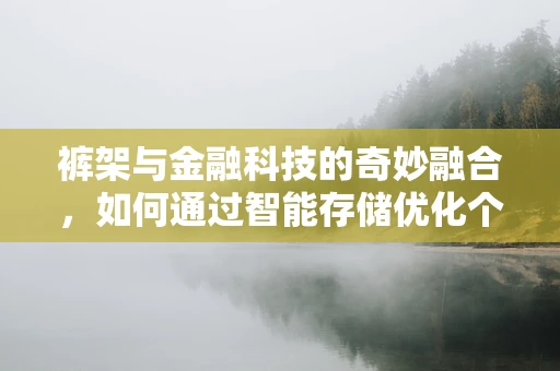裤架与金融科技的奇妙融合，如何通过智能存储优化个人财务管理？
