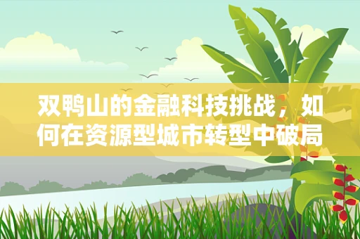 双鸭山的金融科技挑战，如何在资源型城市转型中破局？