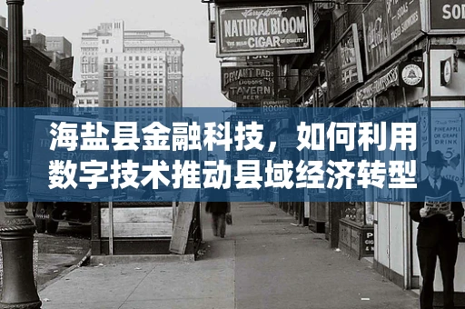 海盐县金融科技，如何利用数字技术推动县域经济转型升级？
