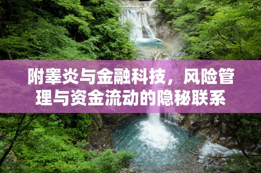 附睾炎与金融科技，风险管理与资金流动的隐秘联系