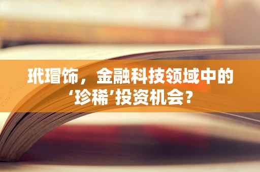 玳瑁饰，金融科技领域中的‘珍稀’投资机会？