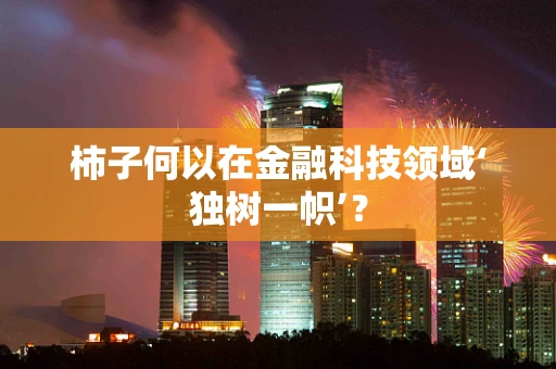 柿子何以在金融科技领域‘独树一帜’？