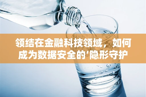 领结在金融科技领域，如何成为数据安全的‘隐形守护者’？