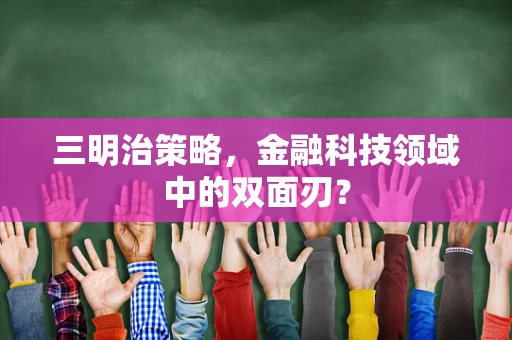 三明治策略，金融科技领域中的双面刃？