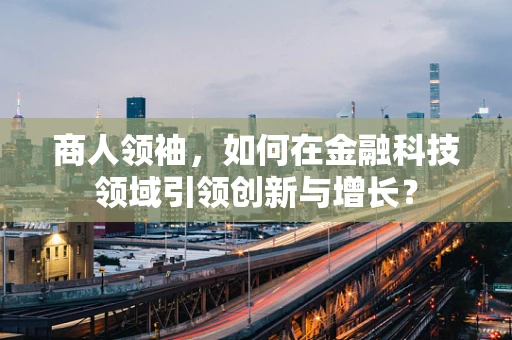 商人领袖，如何在金融科技领域引领创新与增长？