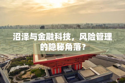 沼泽与金融科技，风险管理的隐秘角落？