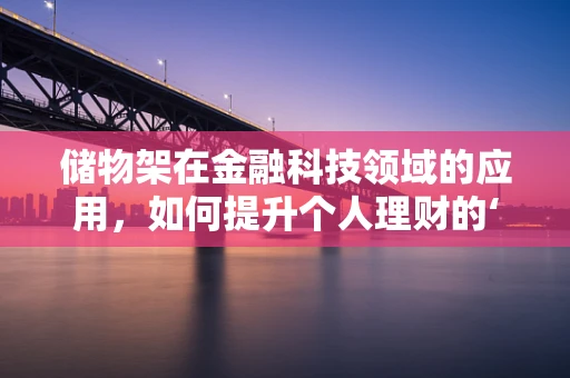 储物架在金融科技领域的应用，如何提升个人理财的‘收纳’效率？