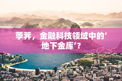 荸荠，金融科技领域中的‘地下金库’？