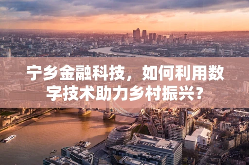 宁乡金融科技，如何利用数字技术助力乡村振兴？