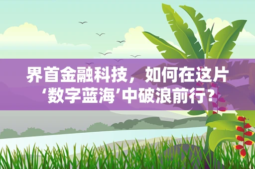 界首金融科技，如何在这片‘数字蓝海’中破浪前行？