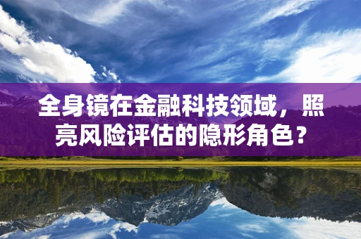 全身镜在金融科技领域，照亮风险评估的隐形角色？