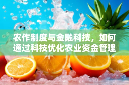 农作制度与金融科技，如何通过科技优化农业资金管理？