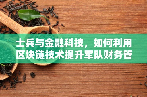 士兵与金融科技，如何利用区块链技术提升军队财务管理效率？