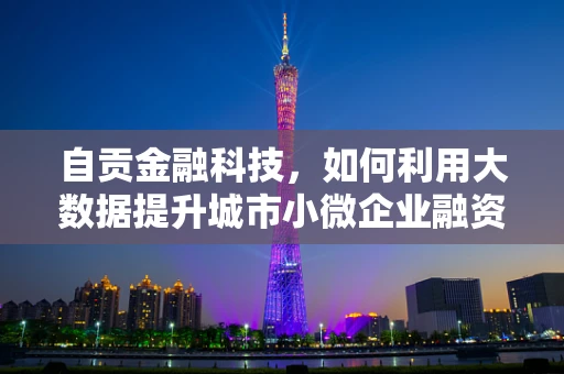 自贡金融科技，如何利用大数据提升城市小微企业融资效率？