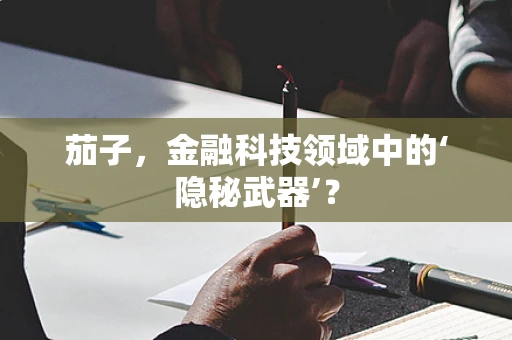 茄子，金融科技领域中的‘隐秘武器’？