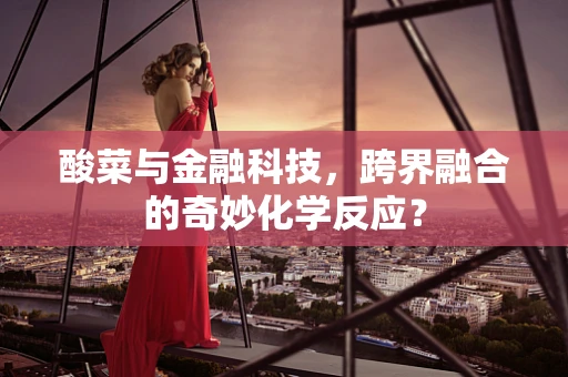 酸菜与金融科技，跨界融合的奇妙化学反应？
