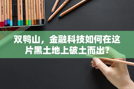 双鸭山，金融科技如何在这片黑土地上破土而出？