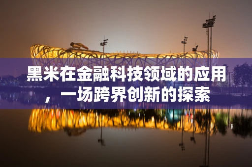 黑米在金融科技领域的应用，一场跨界创新的探索