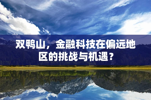 双鸭山，金融科技在偏远地区的挑战与机遇？