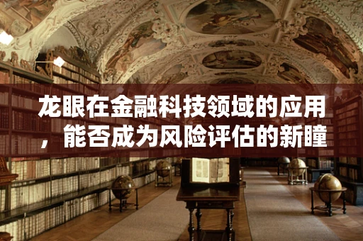 龙眼在金融科技领域的应用，能否成为风险评估的新瞳孔？