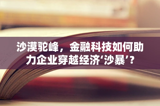 沙漠驼峰，金融科技如何助力企业穿越经济‘沙暴’？