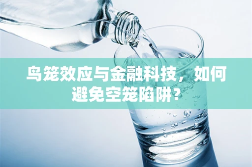 鸟笼效应与金融科技，如何避免空笼陷阱？