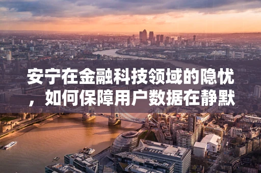 安宁在金融科技领域的隐忧，如何保障用户数据在静默中的安全？