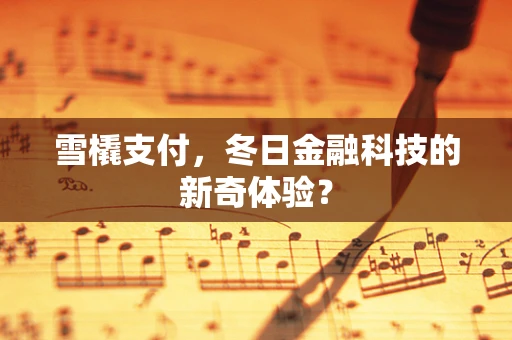 雪橇支付，冬日金融科技的新奇体验？
