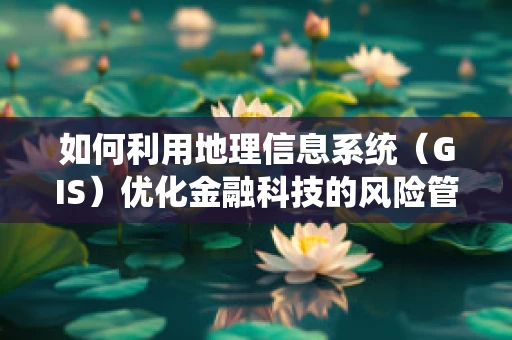 如何利用地理信息系统（GIS）优化金融科技的风险管理？