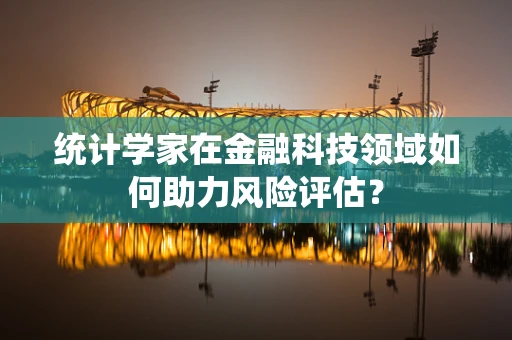 统计学家在金融科技领域如何助力风险评估？