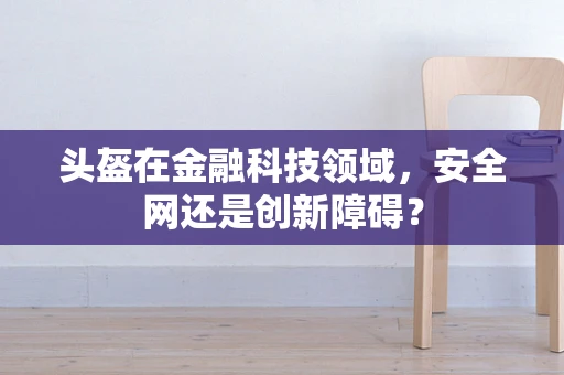 头盔在金融科技领域，安全网还是创新障碍？