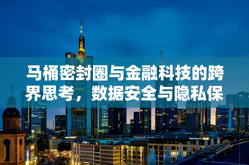马桶密封圈与金融科技的跨界思考，数据安全与隐私保护的微妙平衡
