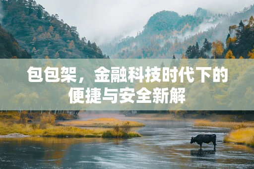 包包架，金融科技时代下的便捷与安全新解