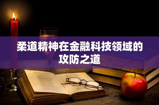 柔道精神在金融科技领域的攻防之道