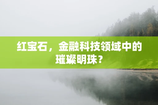 红宝石，金融科技领域中的璀璨明珠？