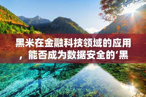 黑米在金融科技领域的应用，能否成为数据安全的‘黑科技’？